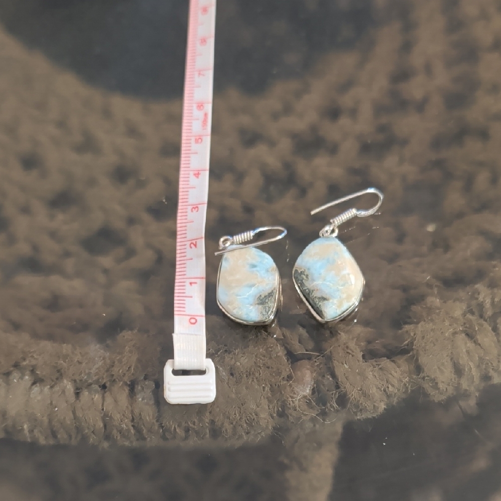 Elegant Silver and Blue Stone Earrings